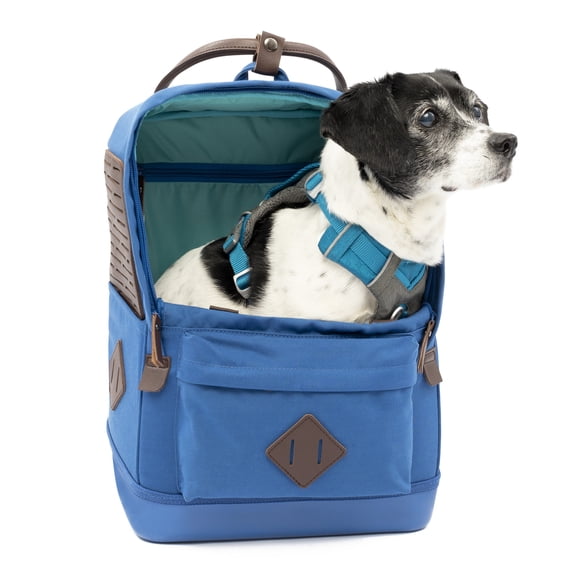 Kurgo Nomad Dog Carrier Backpack, Hiking Backpack for Small Dogs, Pet Travel Back Pack Carrier, Interior Safety Tether, Waterproof Bottom, Dual Carry Handles, Holds Pets Up to 15 lbs, Blue
