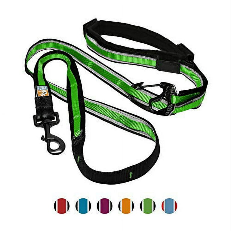 Kurgo dog leash sales