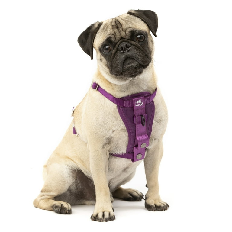 KURGO Enhanced Strength Tru Fit Smart Harness for Dogs Purple Extra Small