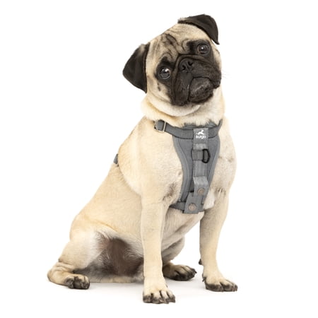Kurgo Tru-Fit Enhanced Strength Dog Harness - Crash Tested Car Safety Harness for Dogs, No Pull Dog Harness, Includes Pet Safety Seat Belt, Steel Nesting Buckles (Charcoal, Small)