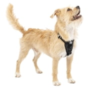 Kurgo Tru-Fit Smart Dog Harness, Quick Release Buckles, Front D-Ring for No Pull, Black, XS