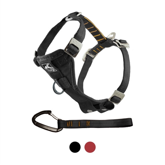 Kurgo Tru-Fit Smart Dog Harness, Quick Release Buckles, Front D-Ring for No Pull Training