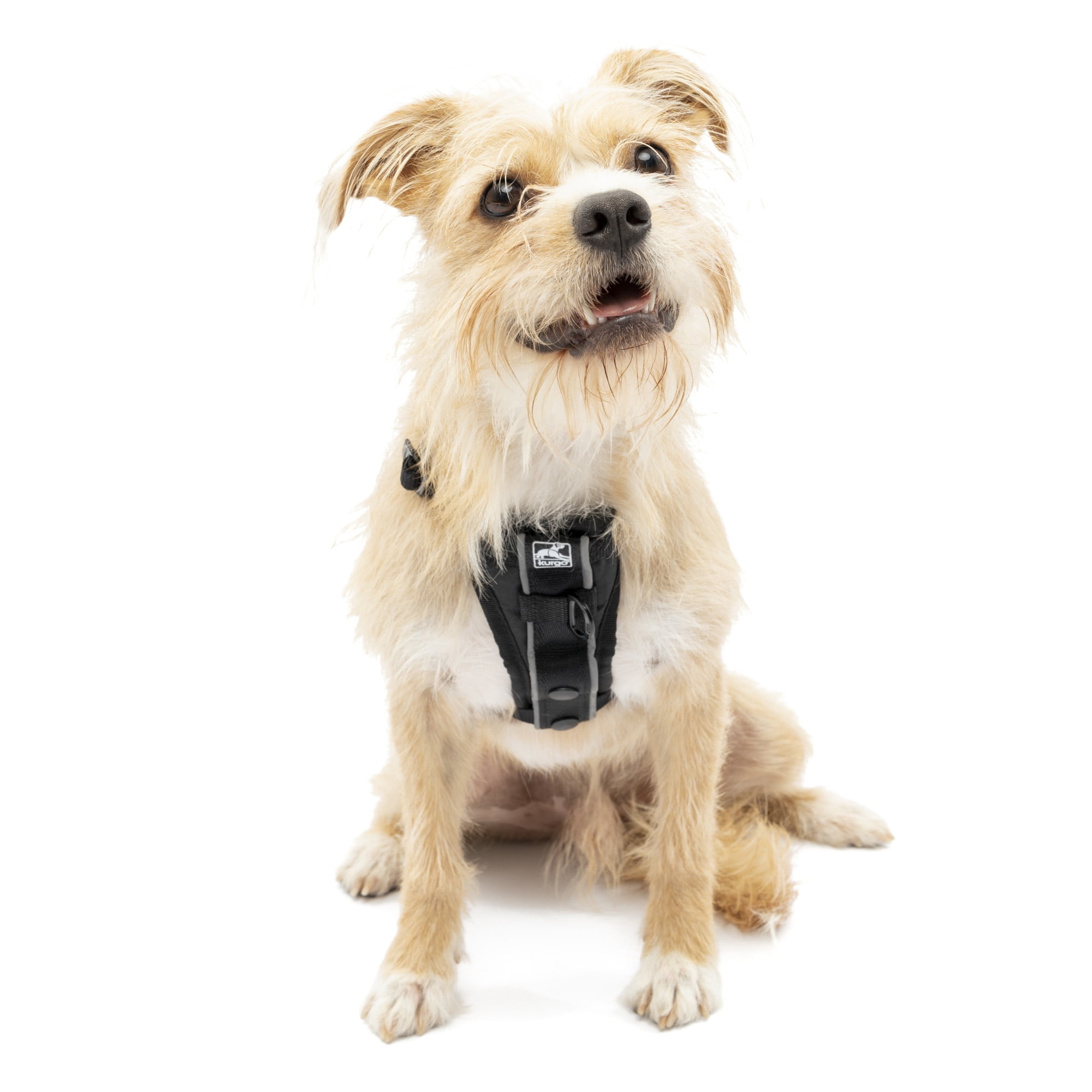 Kurgo Tru-Fit Smart Harness, Front D-Ring for No Pull Training, Includes Dog Seat Belt Tether, Black, Small