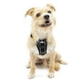 thumbnail image 1 of Kurgo Tru-Fit Smart Harness, Front D-Ring for No Pull Training, Includes Dog Seat Belt Tether, Black, Small, 1 of 10