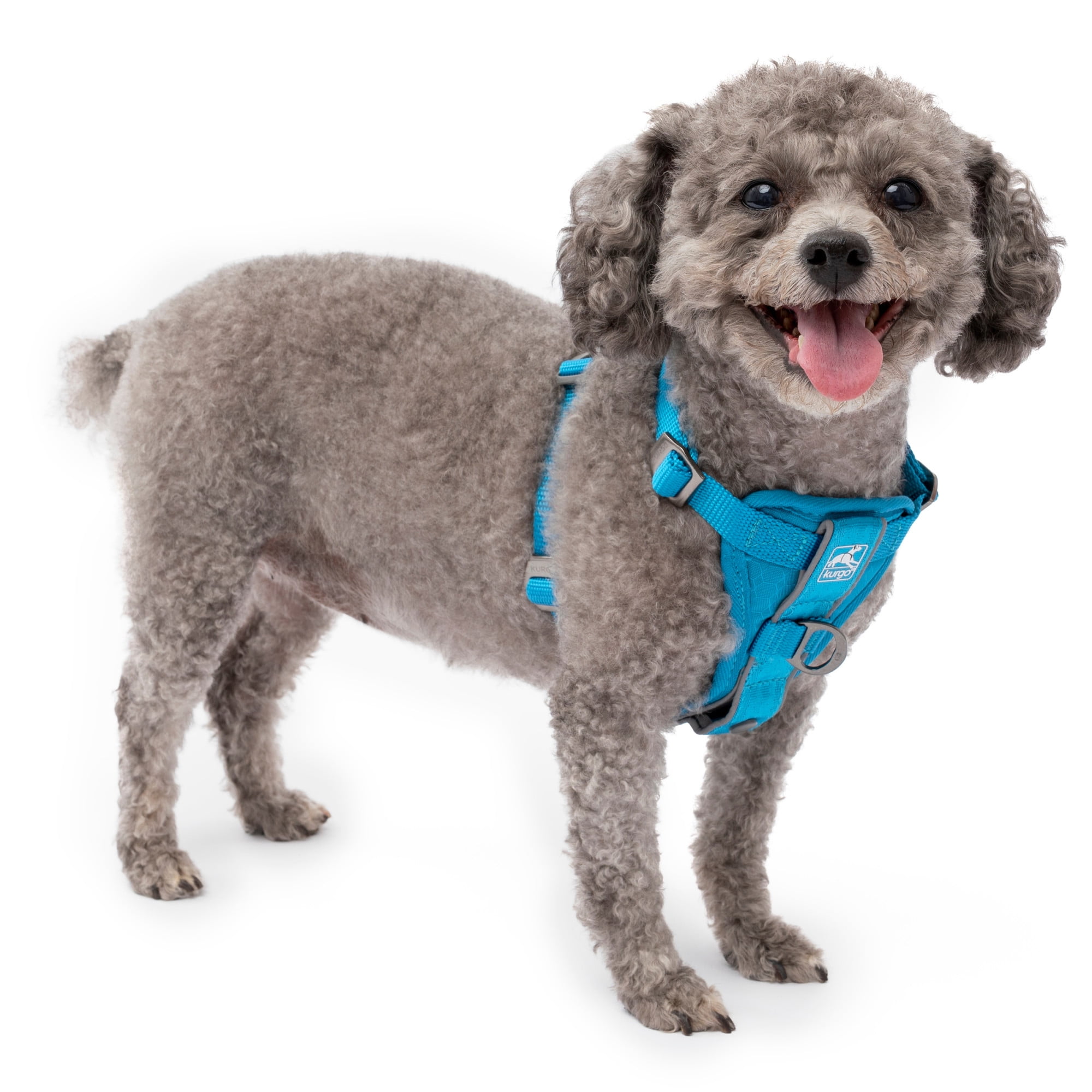 Kurgo Tru-Fit Smart Harness, Dog Harness, Pet Walking Harness, Quick Release Buckles, Front D-Ring for No Pull Training, Includes Dog Seat Belt Tether (Blue, X-Small)