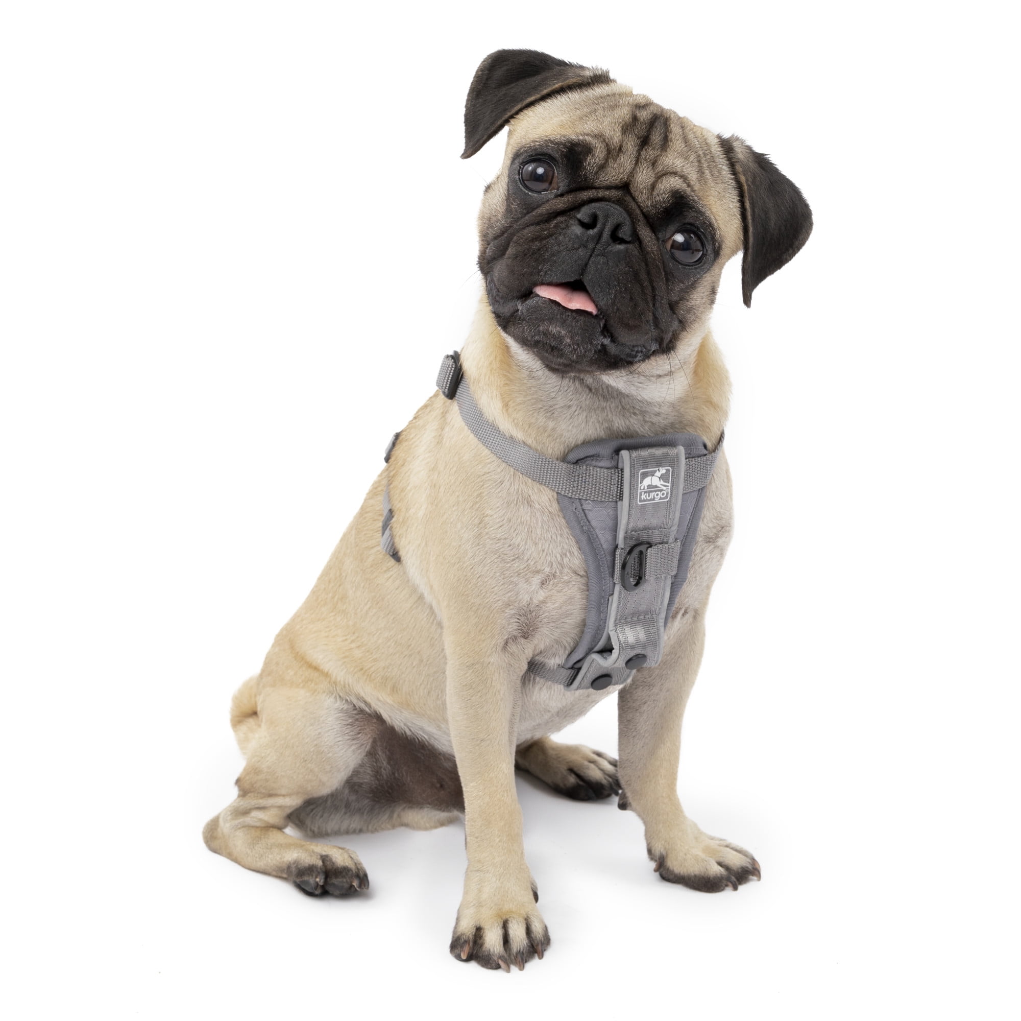 Kurgo Tru-Fit Smart Harness, Dog Harness, Pet Walking Harness, Quick Release Buckles, Front D-Ring for No Pull Training, Includes Dog Seat Belt Tether (Grey, Small)