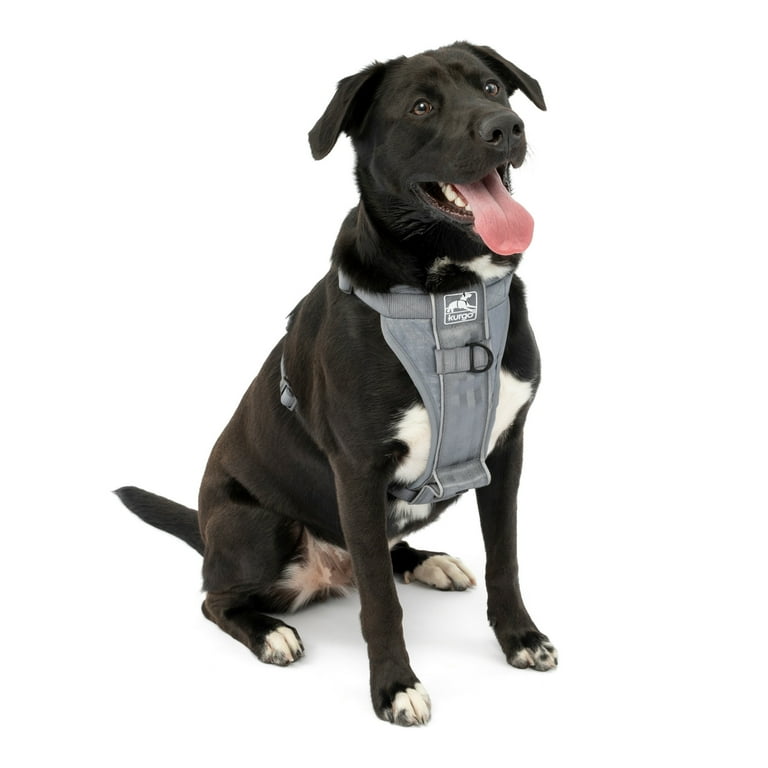Good to go front walking harness 2025