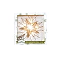 thumbnail image 1 of Kurt Adler 10-Light Gold Capiz Star Treetop, 1 of 6