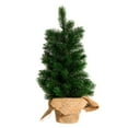thumbnail image 1 of Kurt Adler 18-Inch Mini Pine Tree, 1 of 2