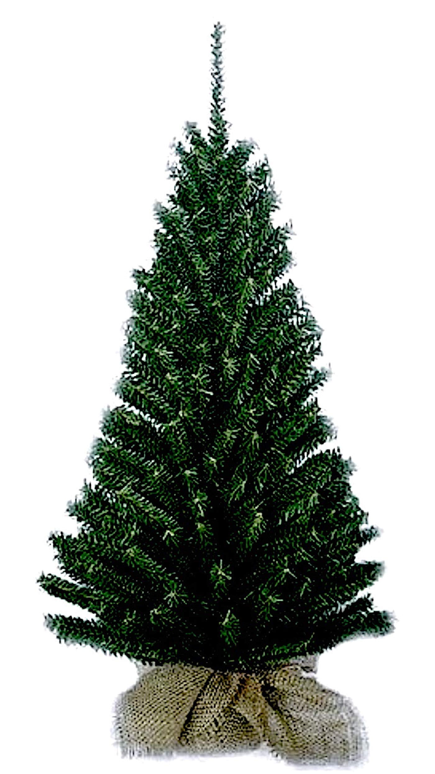 24" Miniature Pine Christmas Tree with Burlap Base