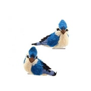 Kurt Adler 3-Inch Blue Jay With Clip Two Different Styles Christmas Ornaments, 2 Piece Set