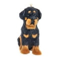 thumbnail image 1 of Kurt Adler 4-Inch Furry Rottweiler Dog Christmas Ornament, 1 of 1