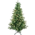 thumbnail image 1 of Kurt Adler 5-Foot Pre-Lit Clear Incandescent Jackson Pine Tree, 1 of 4