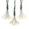 thumbnail image 1 of Kurt Adler 75-Light Cluster Lights and Warm White Twinkle LED Lights with Green Wire, 1 of 4