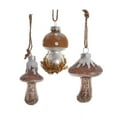 thumbnail image 1 of Kurt Adler Rustic Glass Mushroom Hanging Ornaments, 3 Assorted, 3", 1 of 1