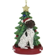 Kurt S. Adler German Shorthaired Pointer Resin Christmas Ornament   Holiday Tree D cor