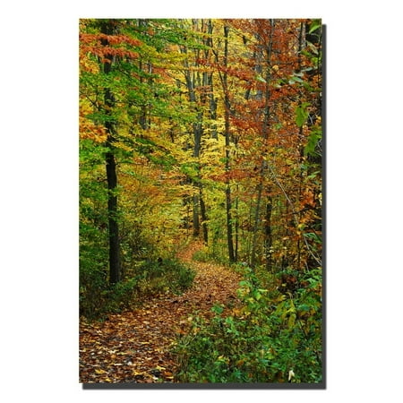 Kurt Shaffer 'Fall Trail' Canvas Art