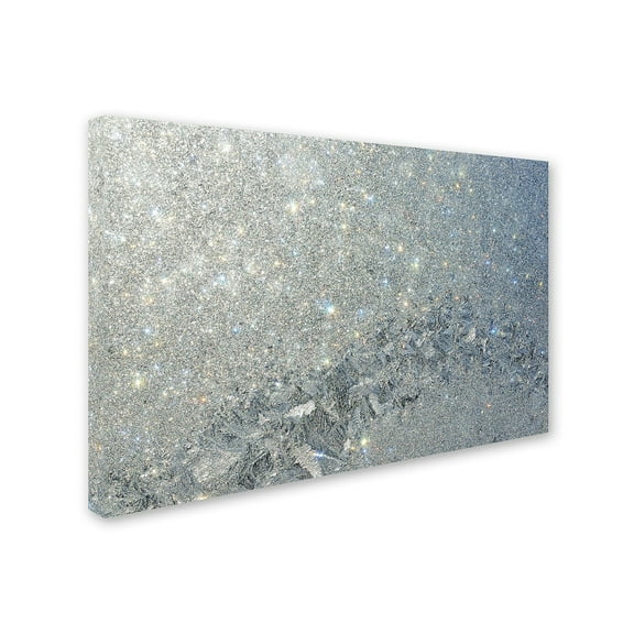 Trademark Fine Art Kurt Shaffer Frost Pattern Sun Stars Canvas Wall Art - 16x24
