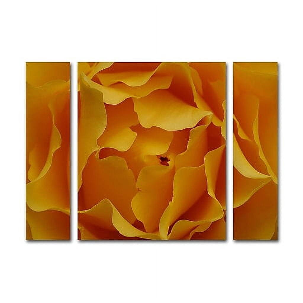 Kurt Shaffer "Hypnotic Yellow Rose" Multi Panel Art Set