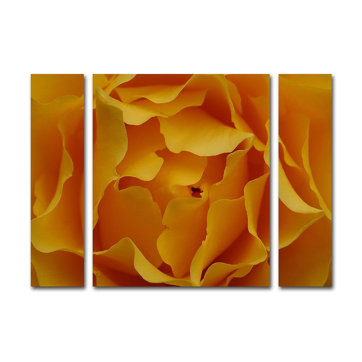 Kurt Shaffer "Hypnotic Yellow Rose" Multi Panel Art Set