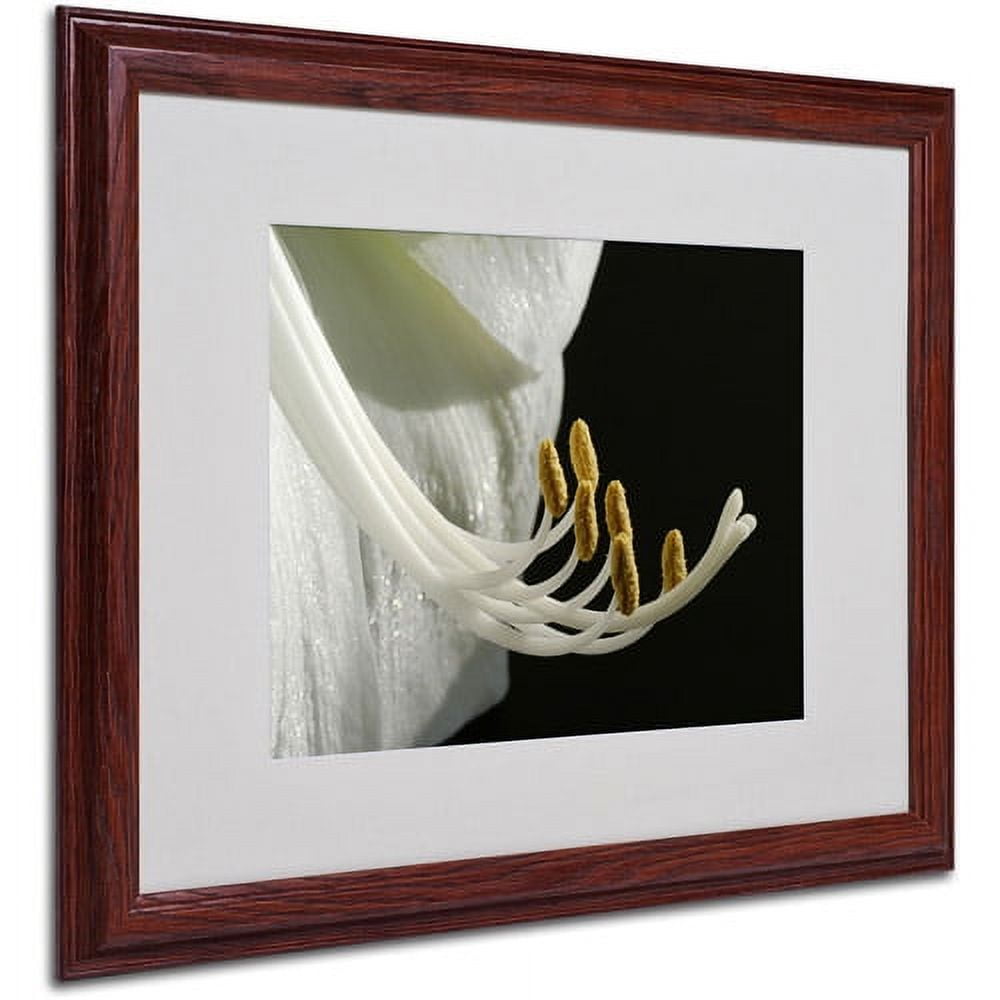 Kurt Shaffer 'Intimate Amaryllis' Matted Framed Art - 16x20 Inches - Wood Frame (KS16-W1620MF)