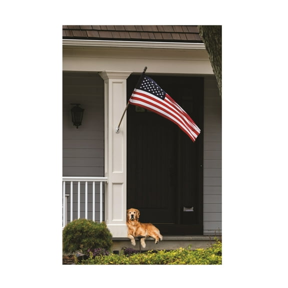 Kurt Shaffer Photographs 'American Golden Retriever' Canvas Art