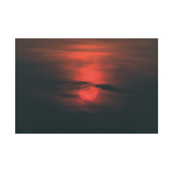 Kurt Shaffer Photographs 'Dreamy Setting Sun' Canvas Art