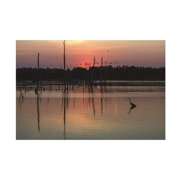 Kurt Shaffer Photographs 'Early Quiet Morning At An Ohio Wetland' Canvas Art