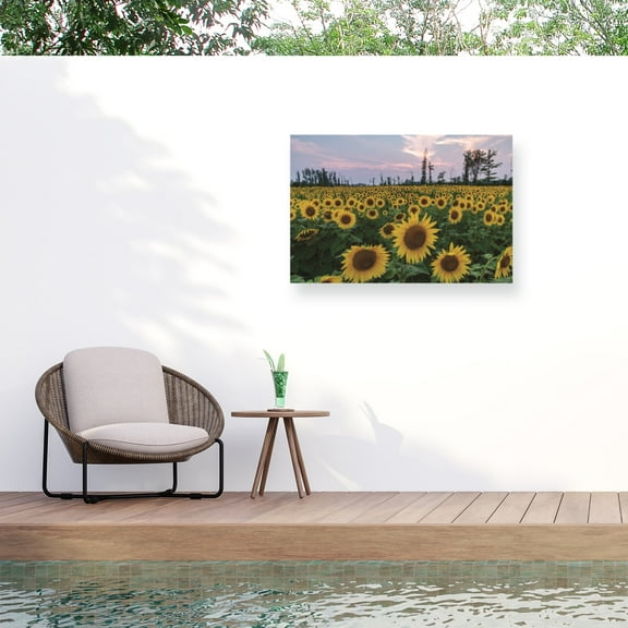 Kurt Shaffer 'Sunflowers Of Hope' Outdoor Canvas 12x19