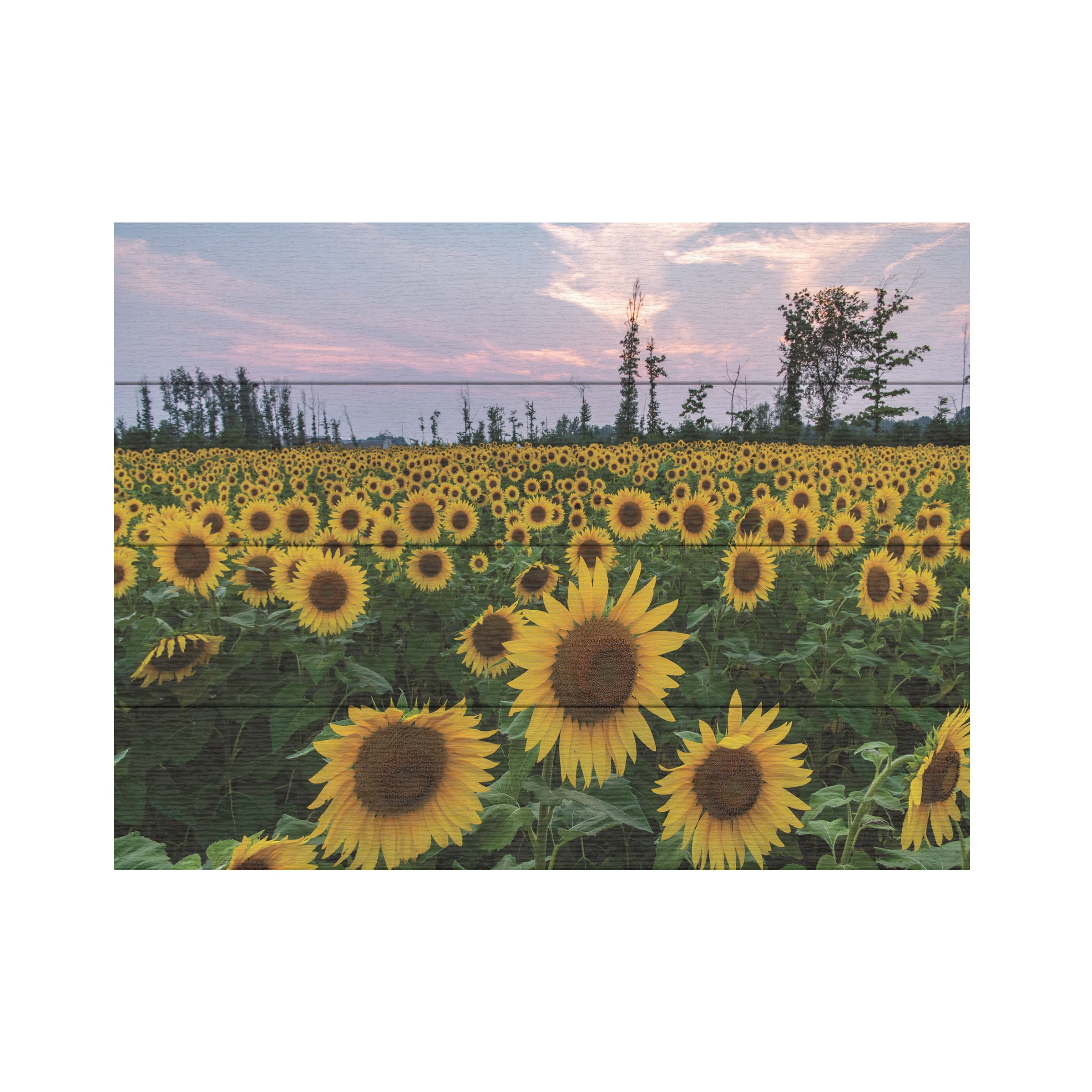 Kurt Shaffer 'Sunflowers Of Hope' Wood Slat Art 12x16