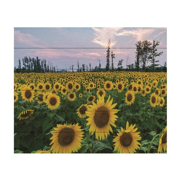 Kurt Shaffer 'Sunflowers Of Hope' Wood Slat Art 18x22