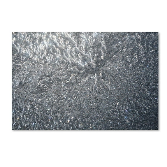 Kurt Shaffer 'Sunlight Frost Abstract' Canvas Art