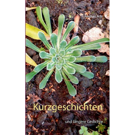 Kurzgeschichten: und längere Gedichte, (Paperback)