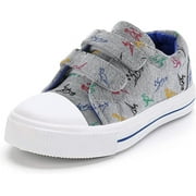 Kushyshoo Raptor Dinosaur Toddler Shoes Kids Sneakers with Cartoon Dual Hook and Loops 5M