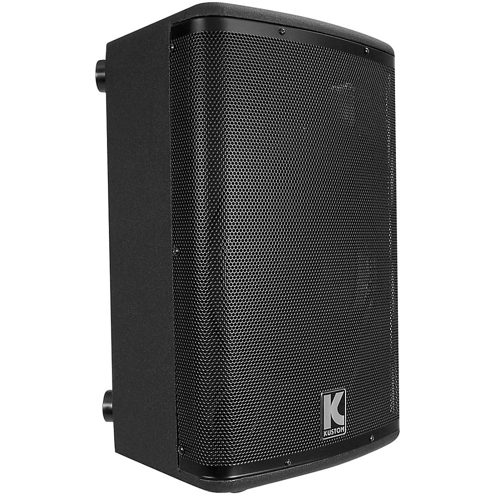 Kustom PA KPX10 Passive Monitor Cabinet