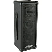 Kustom PA PA50 2x4.5 50W Personal PA System
