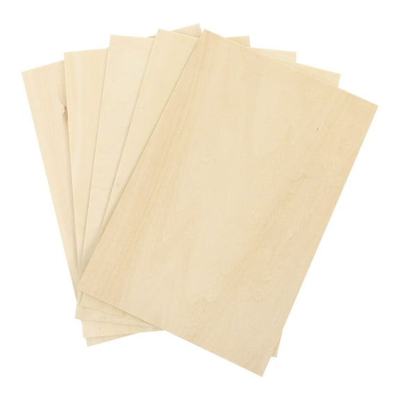 Kuyiluo Wood Piece 5Pcs Basswood Plywood DIY Pyrography Supplies Unfinished Wood Piece Craft