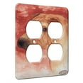 thumbnail image 1 of KuzmarK™ 2 Gang AC Outlet Wall Plate - Chinese Shar Pei Fawn Horsecoat Head Study Art by Denise Every, 1 of 1