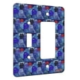thumbnail image 1 of KuzmarK™ 2 Gang Single Toggle / Single Duplex Rocker Wall Plate - Blue Kitties Stranger in Town Abstract Cat Modern Art by Denise Every, 1 of 1