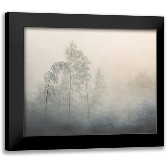 Kvarnstrom, Asmund 18x15 Black Modern Framed Museum Art Print Titled - -20