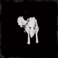 thumbnail image 1 of Kveikur, 1 of 2