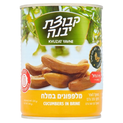 Kvuzat Yavne Cucumbers in Brine 7-9 560g, British Import (Pack of 2)