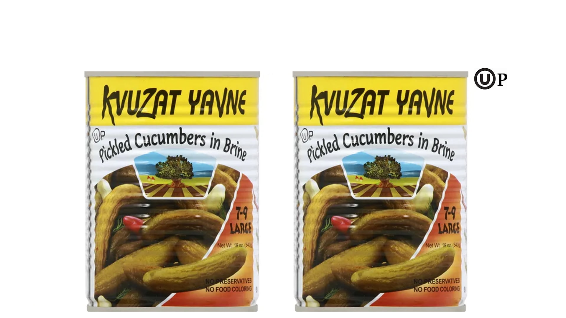 Kvuzat Yavne Pickled Cucumbers In Brine 79 Large 19oz, Certified