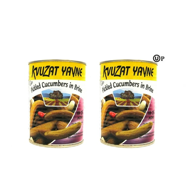 Kvuzat Yavne Pickled Cucumbers in Brine 1825 Mini 19oz, Certified