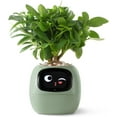 thumbnail image 1 of KwalityDEALZ Glow Ivy - AI Smart Planter with Expressions, 1 of 5