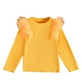 thumbnail image 1 of KyCheLot Toddler Girls Shirts Dressy Mesh Trim Long Sleeve Ribbed Knit Soft Crewneck Blouses 2-8 Years, 1 of 4