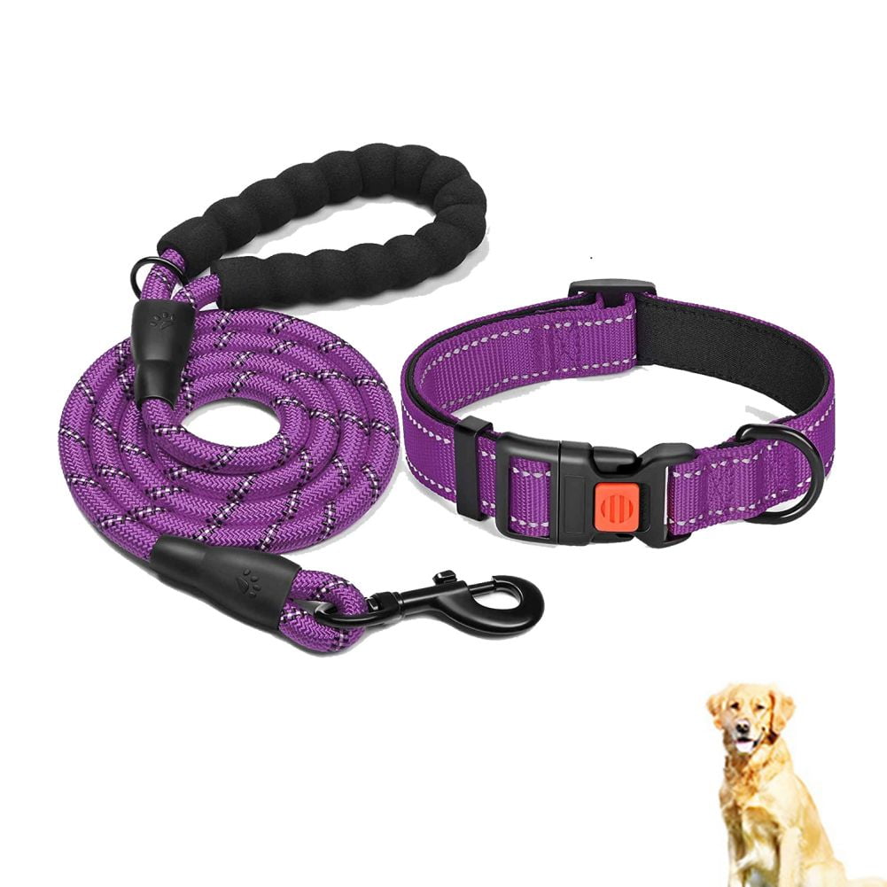 Kyaiguo Adjustable Nylon Dog Collars and Leash Set Reflective