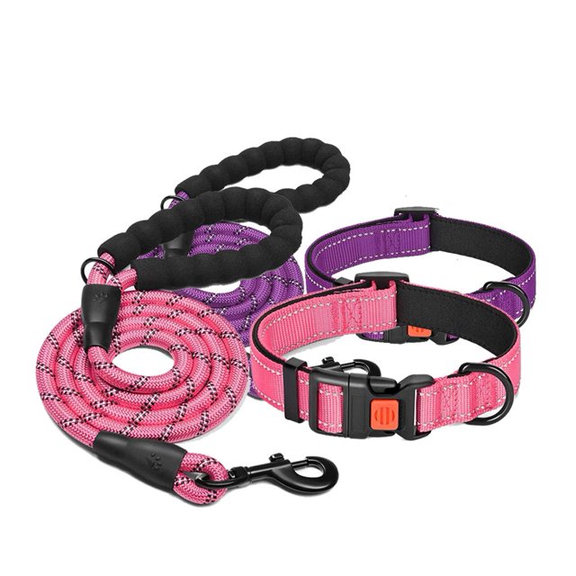Kyaiguo Adjustable Nylon Dog Collars and Leash Set Reflective