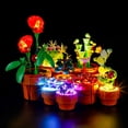 thumbnail image 1 of Kyglaring LED Light Kit for Lego-10329 Tiny Plants - Compatible with Legos Icons Building Set- Not Include Set, 1 of 11