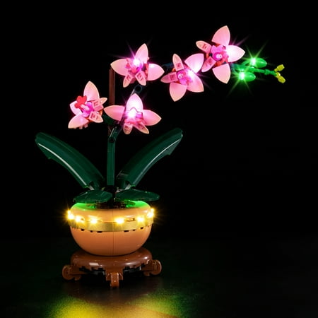 Kyglaring LED Lighting Kit for Lego Mini Orchid Model Set, Compatible with Lego 10343 (Not Included)